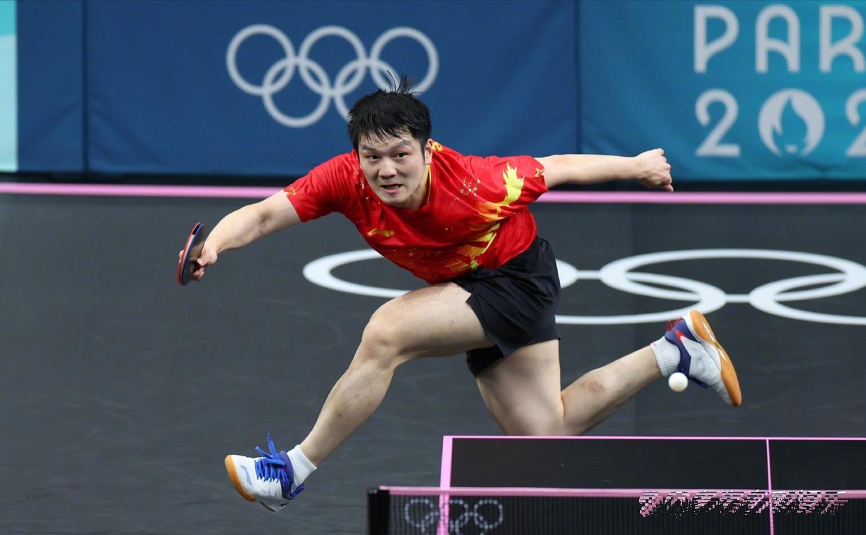韩国乒乓球队横扫奥地利乒乓球队,樊振东关键制胜 韩国乒乓球队横扫奥地利乒乓球队,樊振东关键制胜