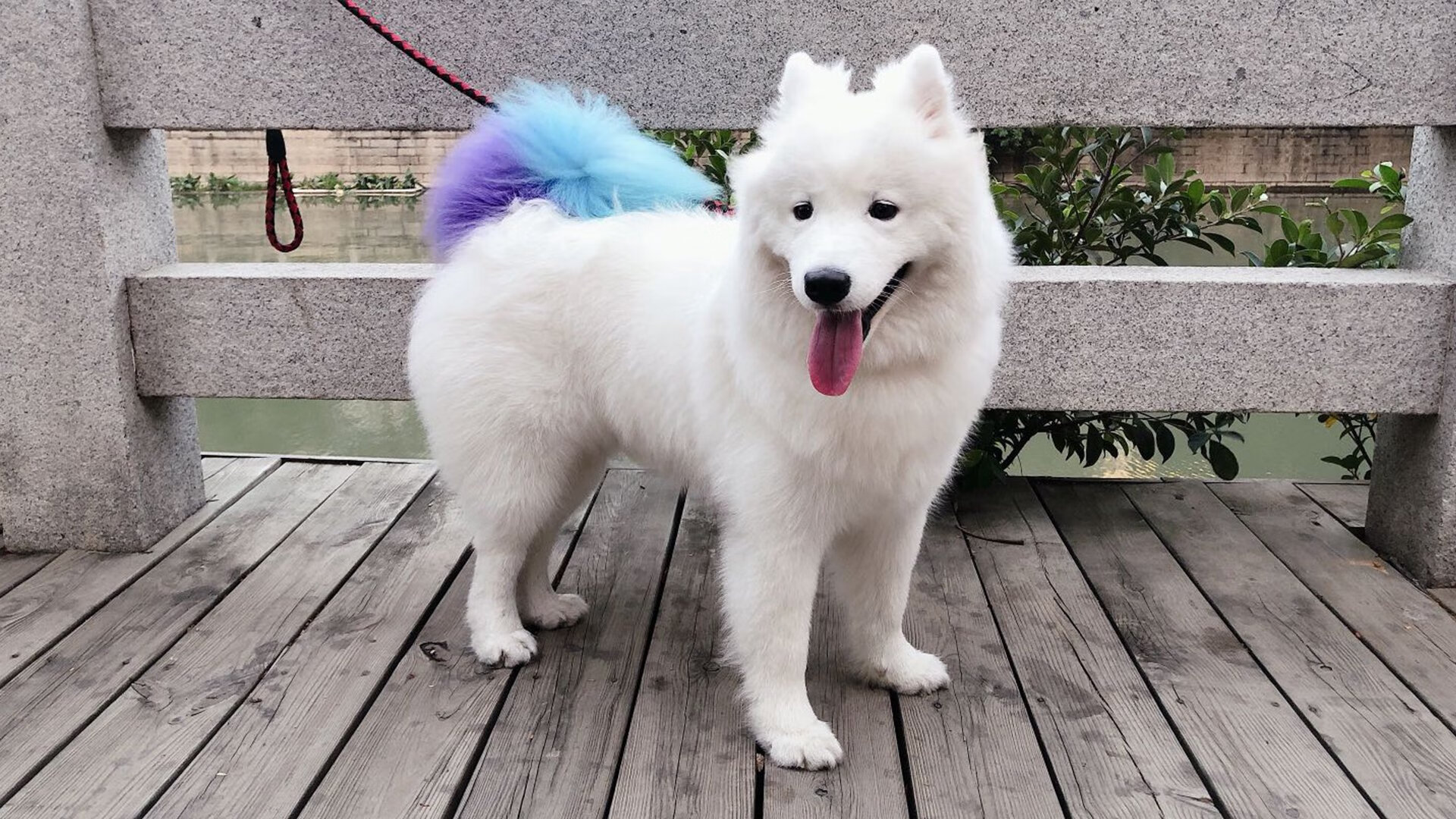 东决关键战之夜,C罗持续制造杀伤